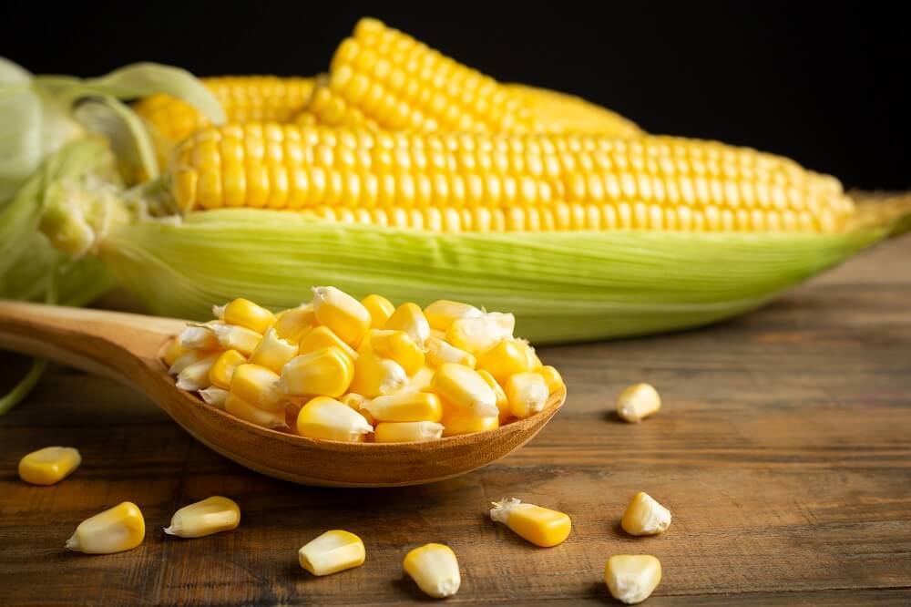 Jak ugotować kukurydzę